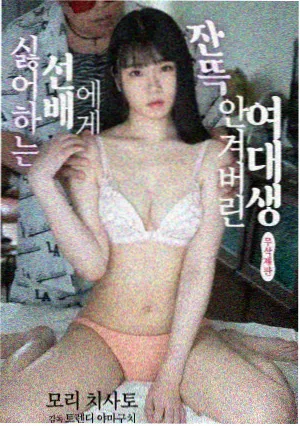 全集免费观看 都市情感剧